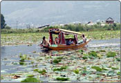 Dal Lake, Jammu and Kashmir