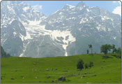 Sonmarg Tourism